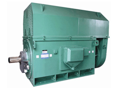 Y50010-12/450KWY系列6KV高压电机