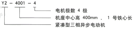 YR系列(H355-1000)高压Y50010-12/450KW三相异步电机西安西玛电机型号说明